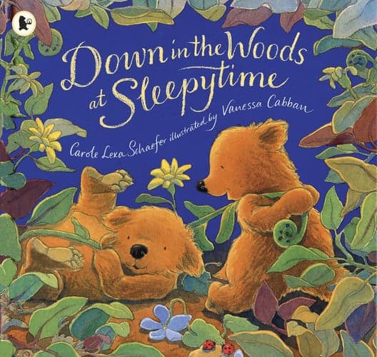 Cover of Down in the Woods at Sleepytime
