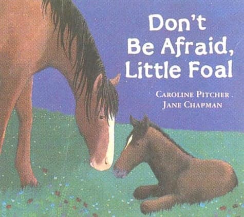 Cover of Don't be Afraid, Little Foal