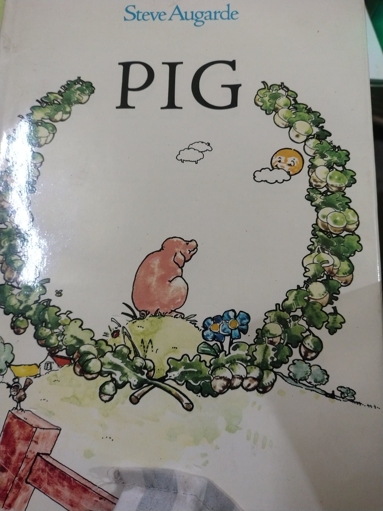 Cover of pig 🐷