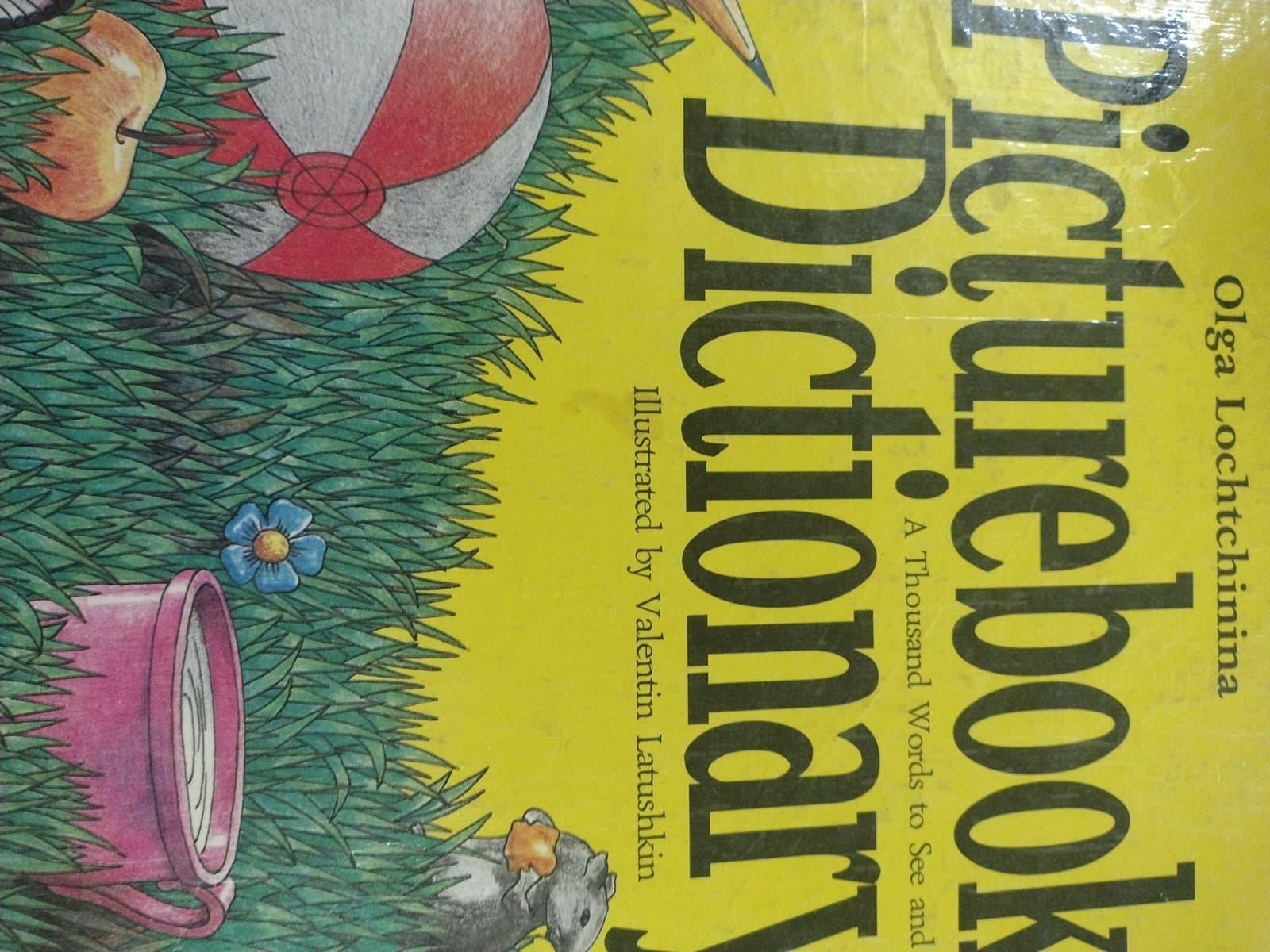Cover of picture book ditionary