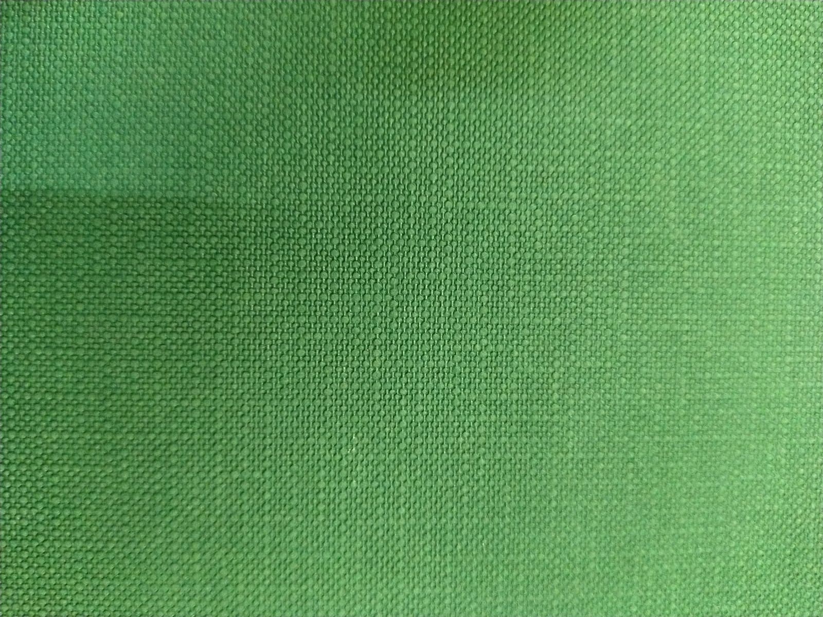 Cover of PETER WAMER