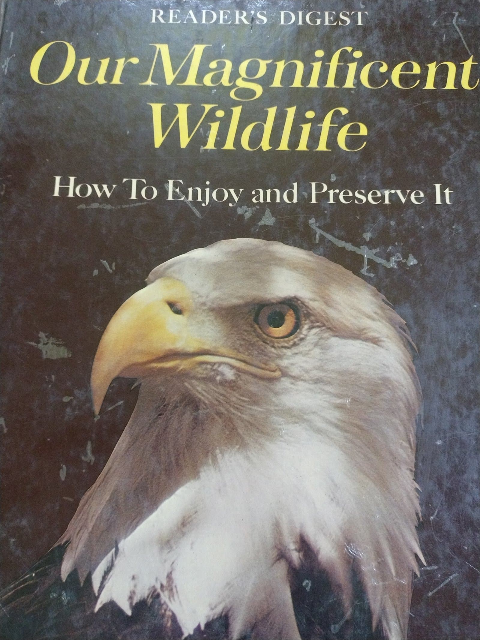 Cover of OUR MAGNIFICENT WILDLIFE