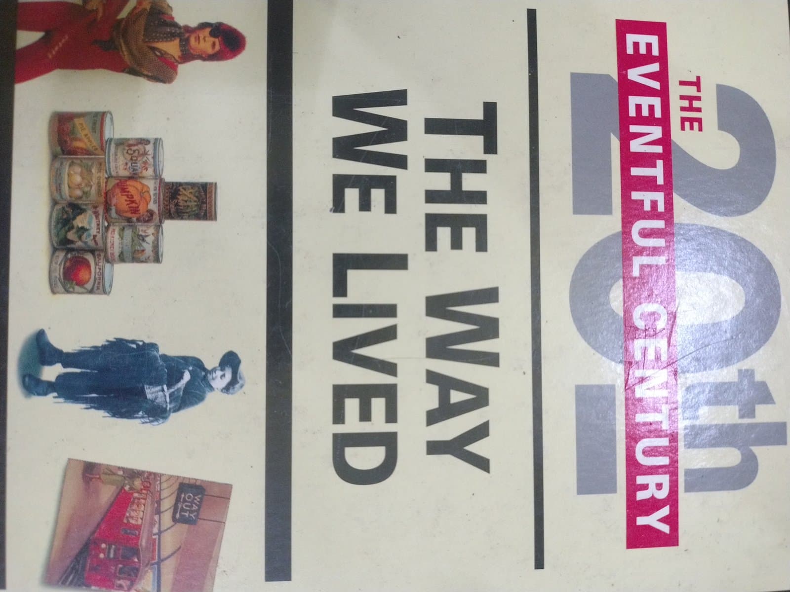 Cover of THE WHY WE LIVED