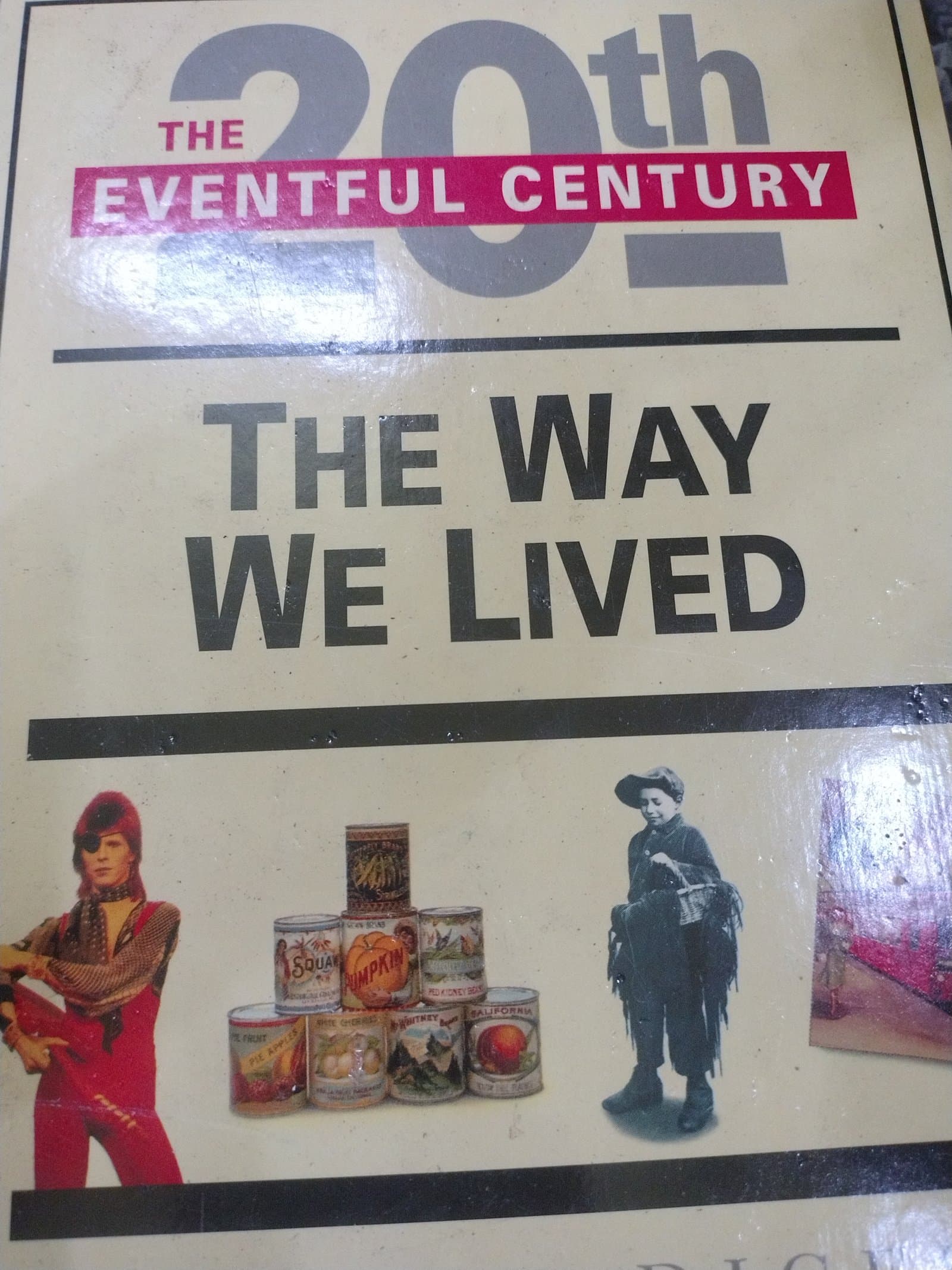 Cover of THE WAY WE LIVED