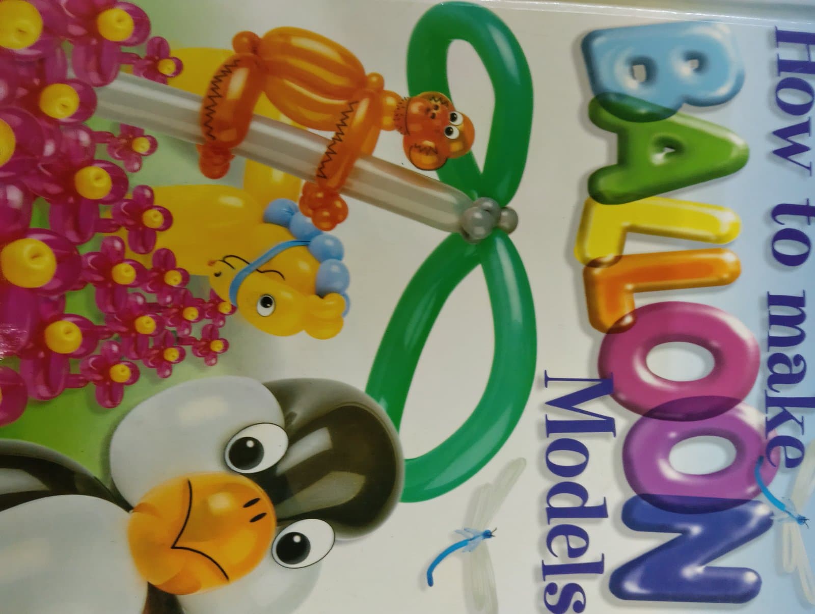 Cover of balloon models