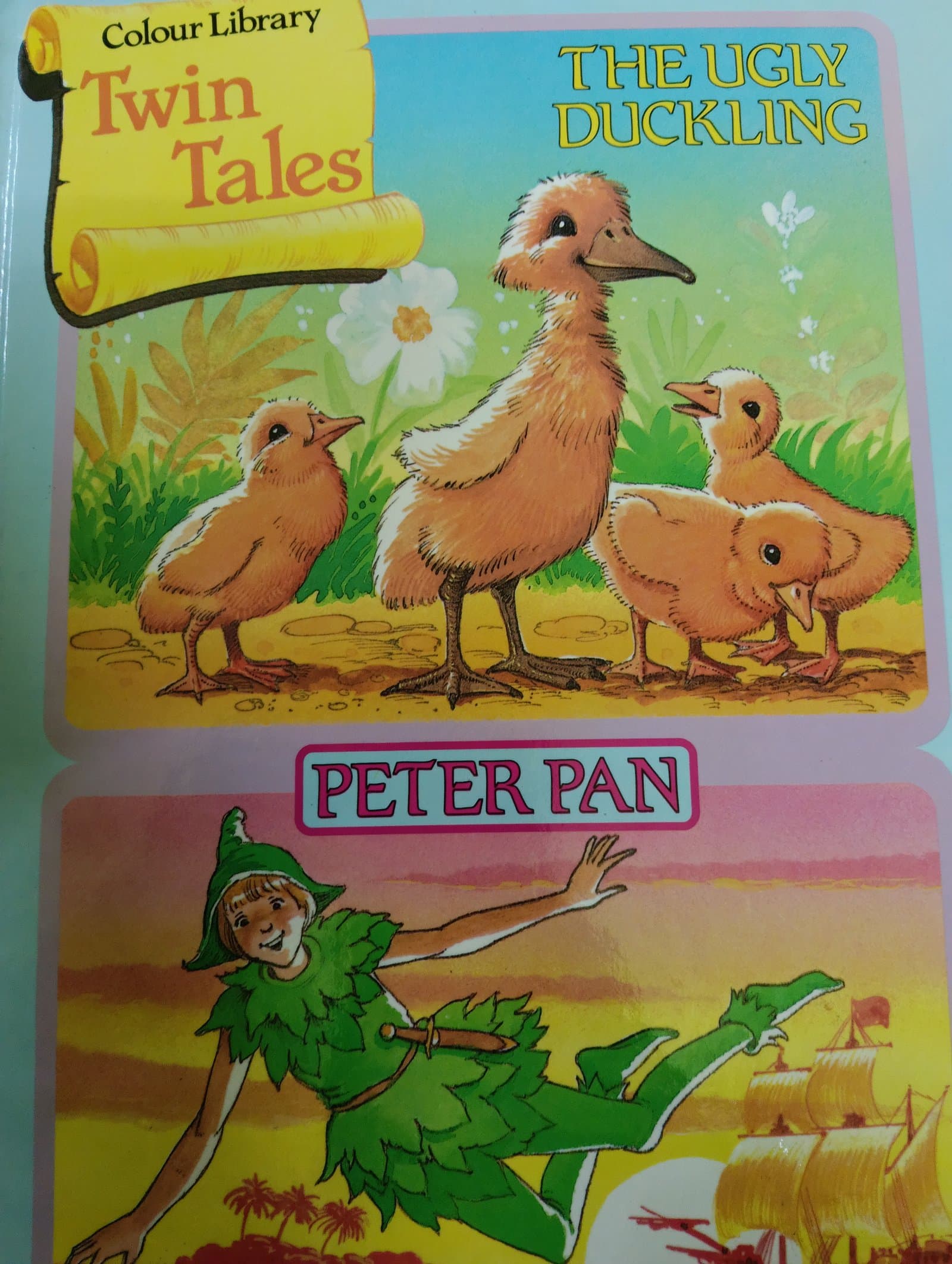 Cover of the ugly duckling