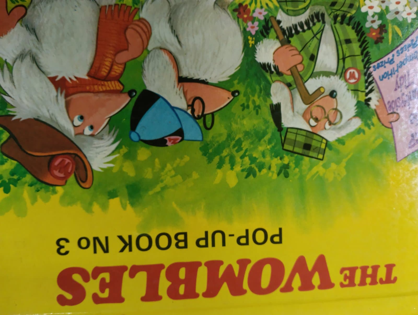 Cover of the wombles