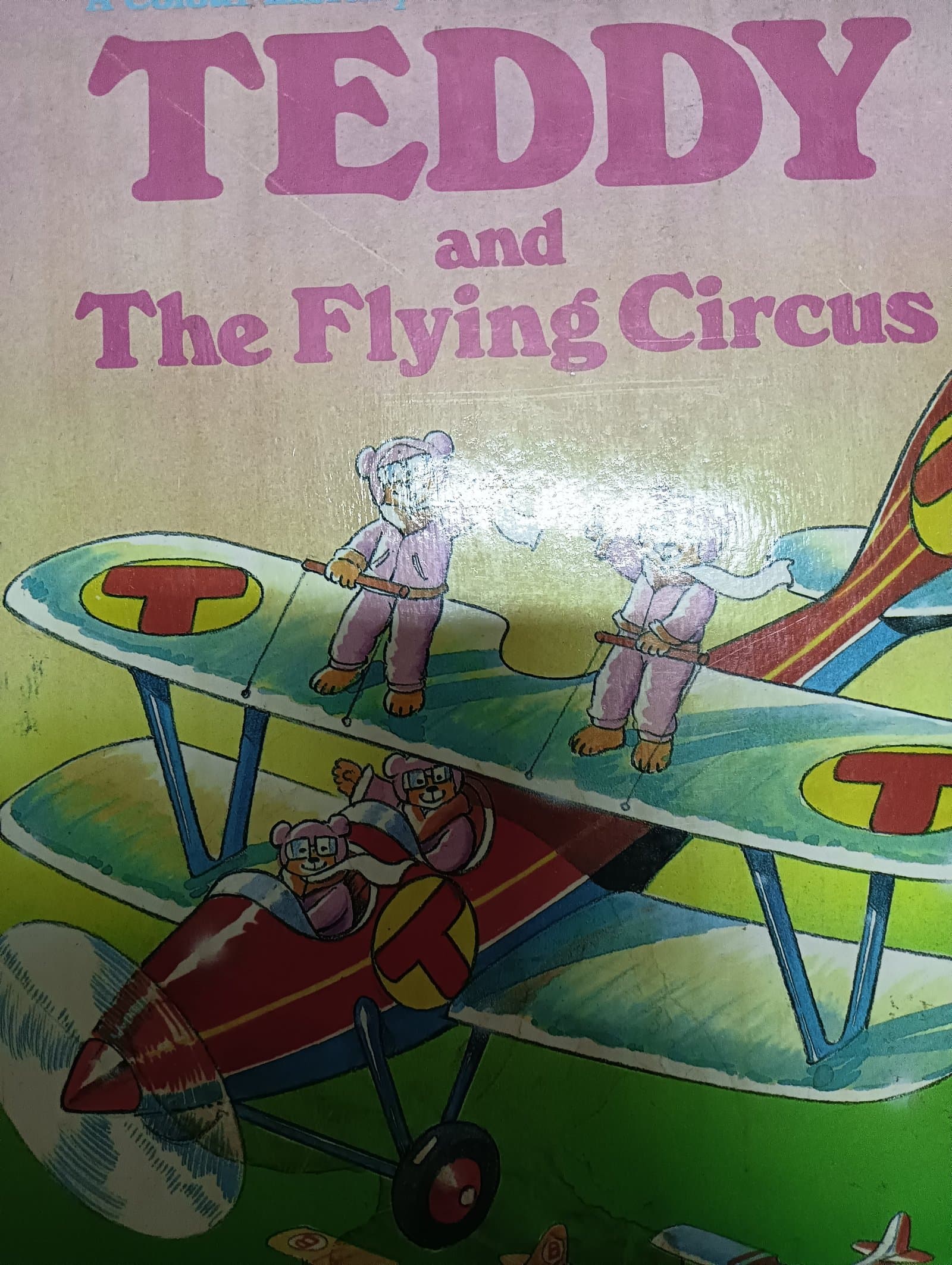 Cover of Teddy and the flying circus