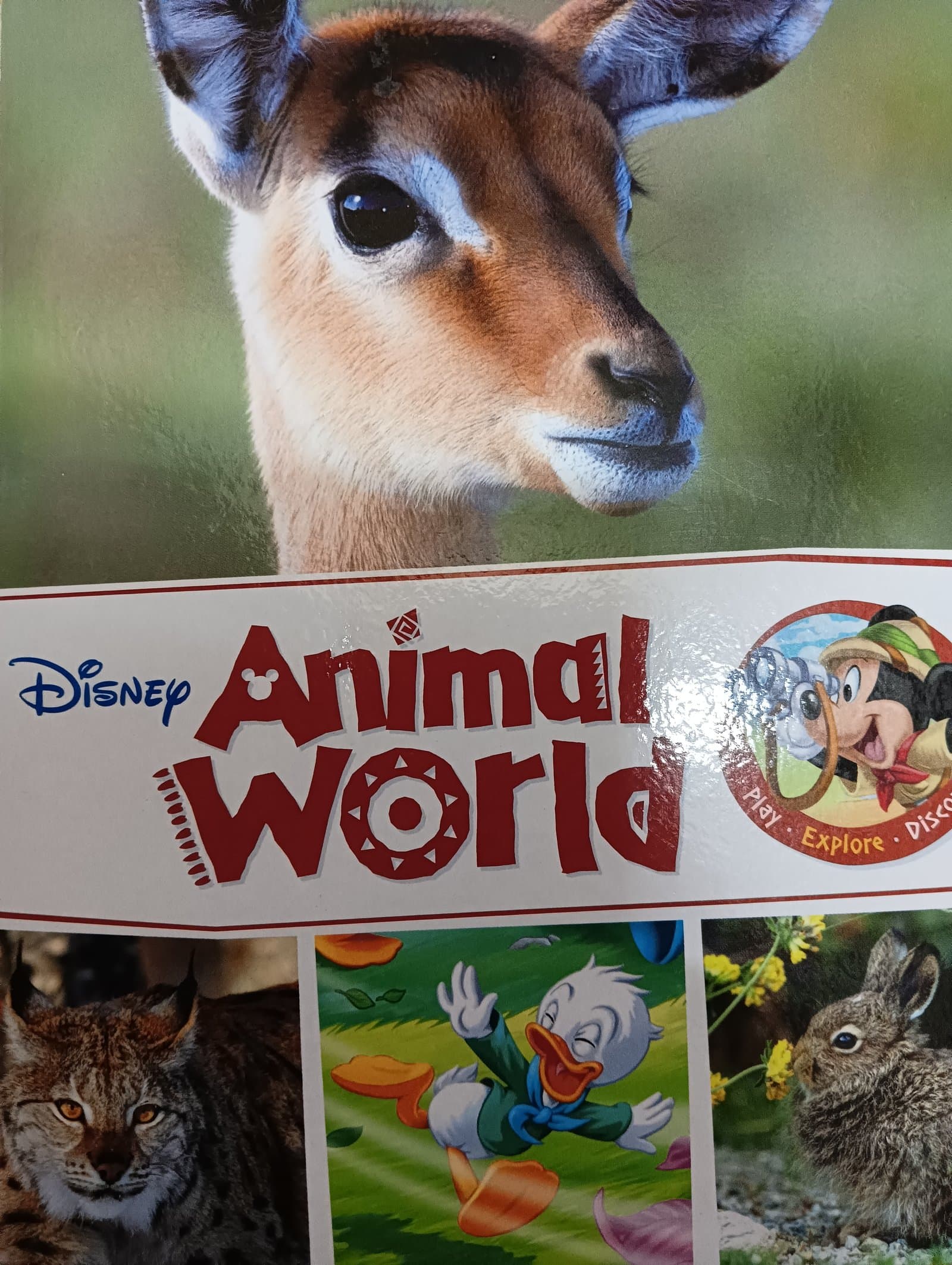 Cover of Disney Animal world