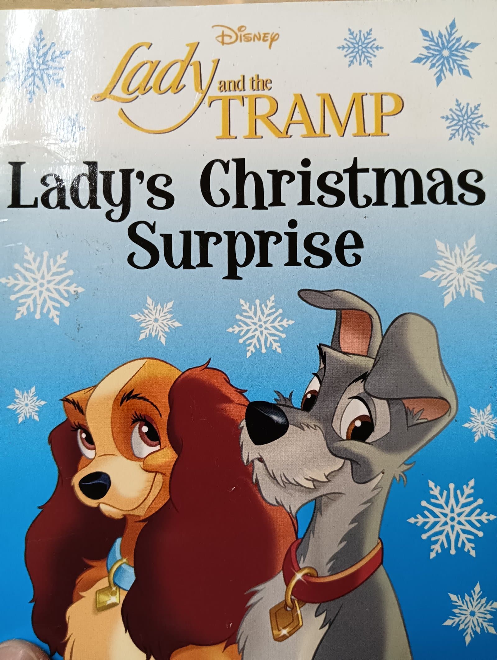 Cover of Lady Christmas Surprise