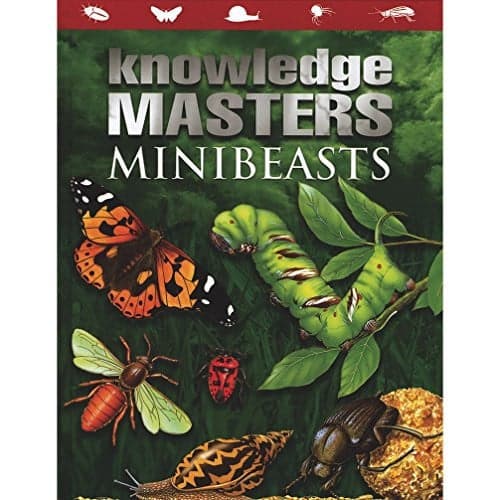 Cover of Minibeasts