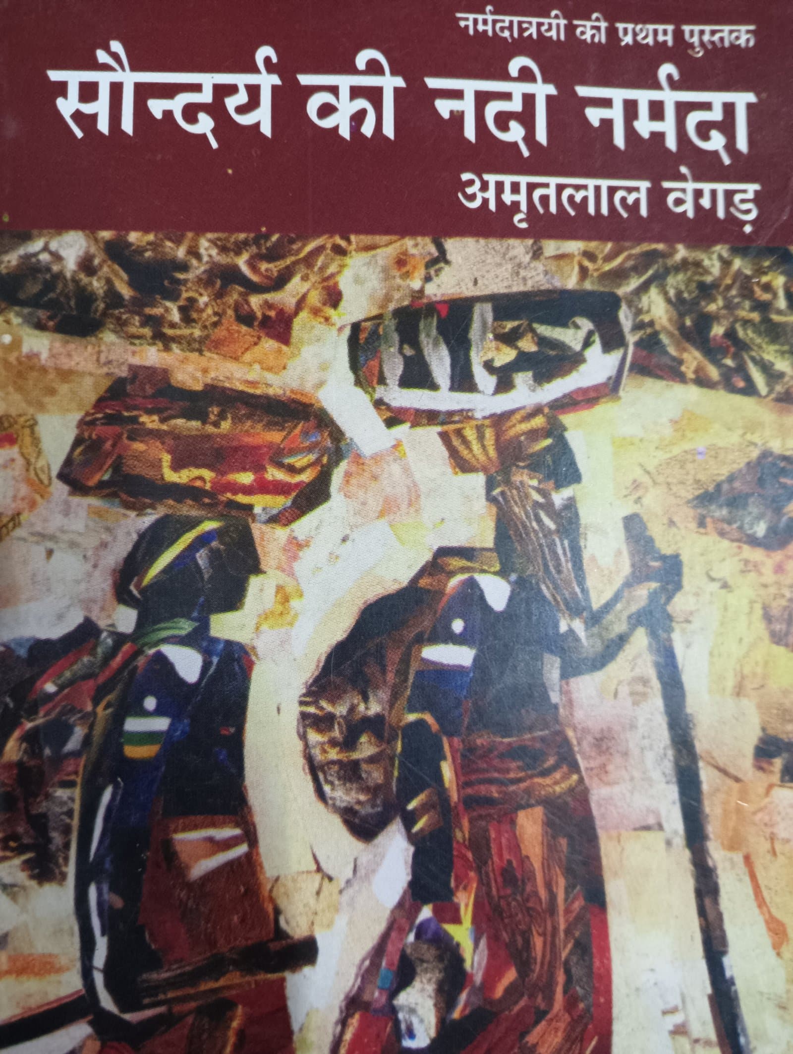 Cover of सौन्दर्य की नदी नर्मदा